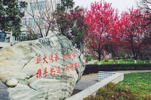 四川这两所医学院，分数线超过成都中医药大学，未来很有可能升格为大学