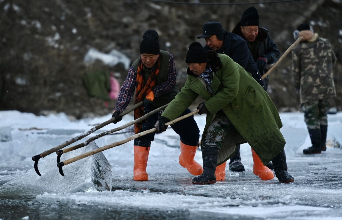 取冰|北京延庆龙庆峡冰灯节启动取冰