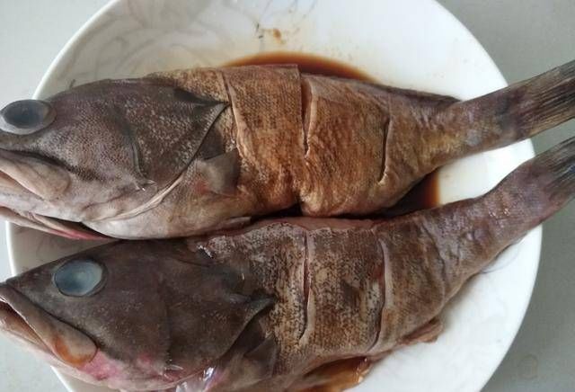 美味|石斑鱼做得又美味又简单,又营养又美味