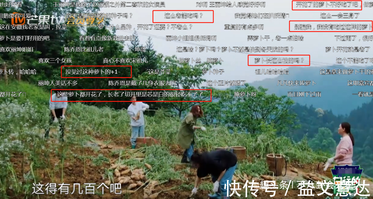 《向往》造假嚴(yán)重蘿卜現(xiàn)種的，魚塘現(xiàn)挖的，全靠工作人員搞衛(wèi)生