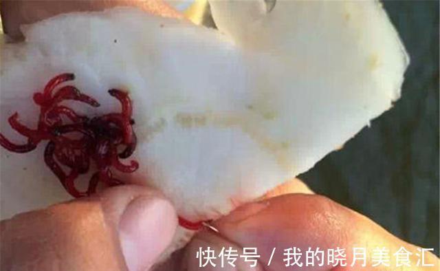 钓法|冬钓6字要诀:冬季常“空军”不要怪天冷,是这些要点没掌握