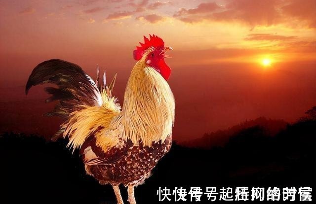 为人师！人在低谷时，参透《增广贤文》4个金句，帮你保住最后一份尊严