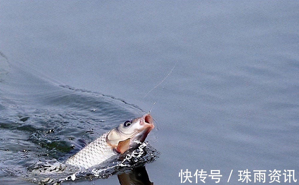 钓鱼高手狂拉大板鲫有绝活,这10个字一年四季都受用——盛世三渔