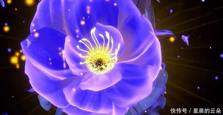 斗罗|斗罗大陆最顶尖的辅助系武魂,都在七宝琉璃塔之上,成神必备!