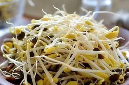 黄豆芽|得了糖尿病别慌张,4物早晚敞开肚子吃,或助你血糖稳稳降