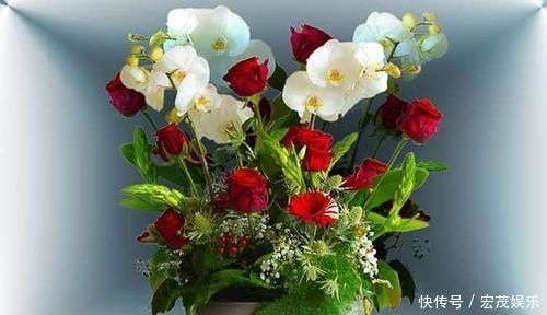 厨房里的1种东西，用来养花，花卉都长疯了，再也不担心长不好