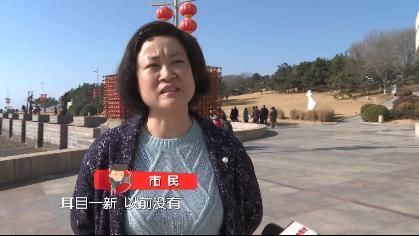 花开|迎春花开 欢度安静祥和年