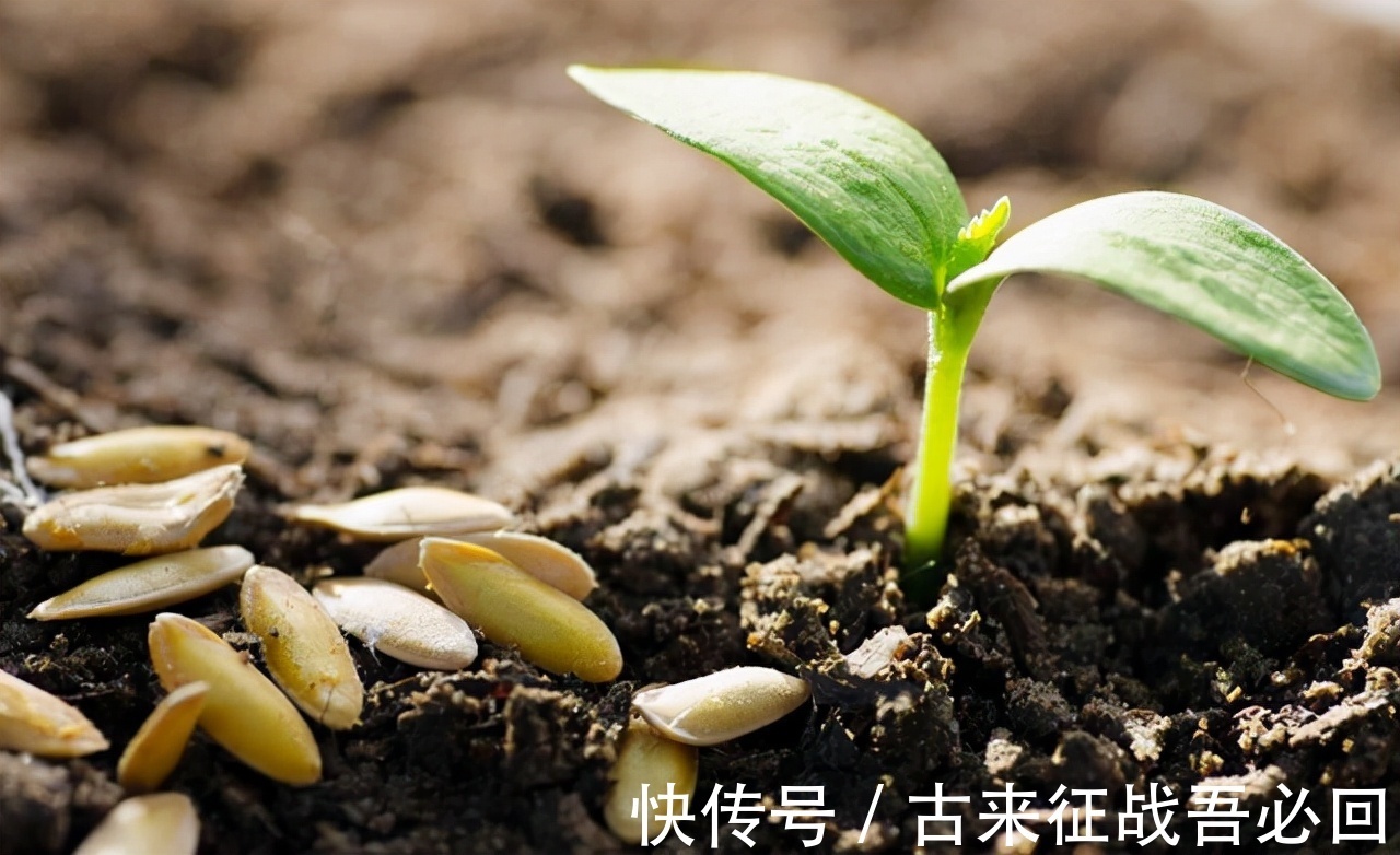 北市$朱熹问学生:为何叫“买东西”不是“买南北”?10岁小孩一语道破