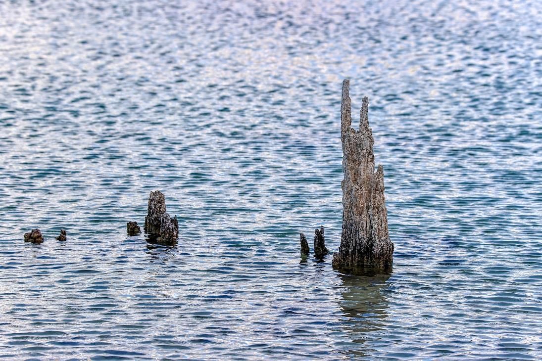 水位|土耳其凡恩湖水位降低 露出奇形怪状的微生物岩