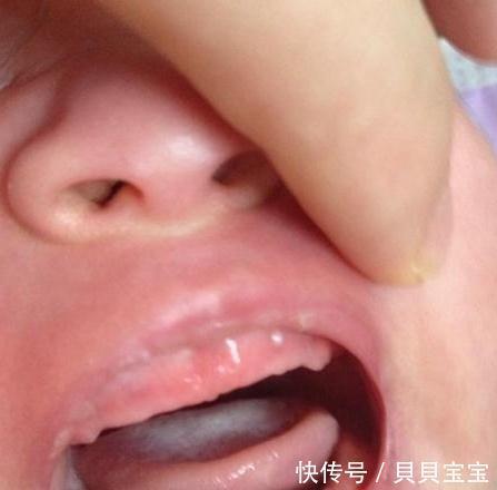 坑娃|1岁多的宝宝,多吃饭还是多吃奶?这样安排更合理避免坑娃