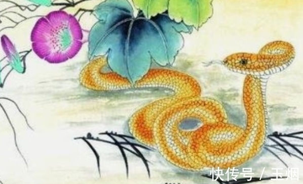 大金蛇|恭喜“大金蛇”！出生在这四个季节里，下半年福禄双全，旗开得胜