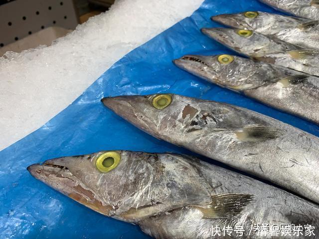 带鱼,黑眼睛和黄眼睛哪种好吃?内行人教你3招,带鱼肥厚又新鲜