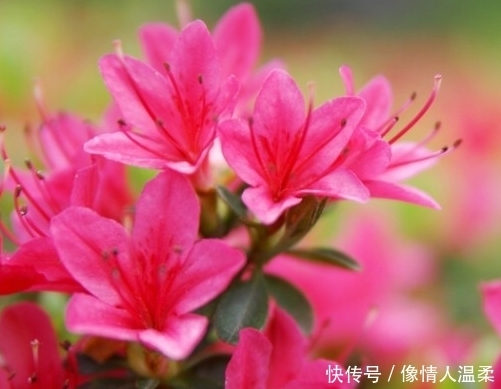 财官|再过3天走大运享富贵的生肖,钱财翻倍涨,前途光明,财官两旺