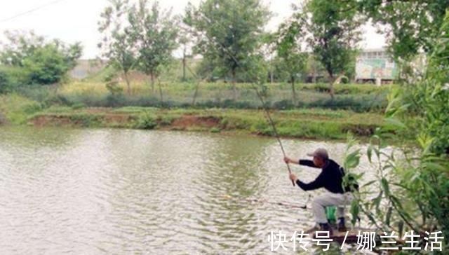 别被渔具店老板给坑了,这草鱼饵就比买的好,试过的人没一个不服