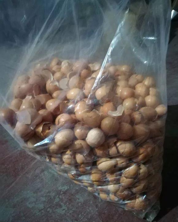 花儿|养花肥:盆里放个蛋,1年不用施肥,花儿照样开爆盆!