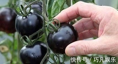 美白|不想身体变老,坚持吃的食物,祛除色斑,美白肌肤,缓解衰老