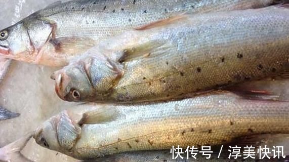 今天才知道，海鲈鱼和淡水鲈鱼差别这么大，选对了才肉嫩味美