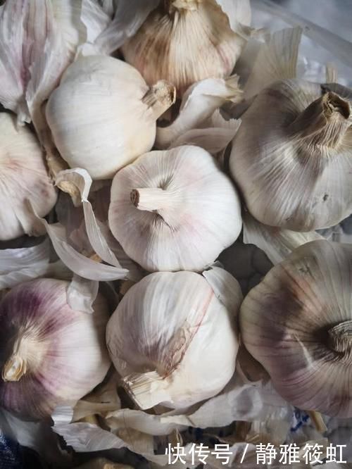 免疫力|它是天然“青霉素”，早晚各吃一粒，增强免疫力，老人小孩不感冒