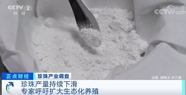 珍珠蚌|“新晋网红”来了,这个产业火了