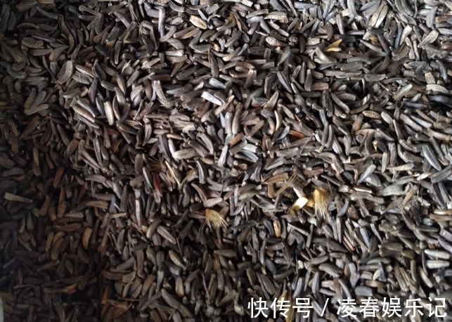 治疗|一味中药润肺气、治咳嗽,老中医无私奉献的止咳“妙方”