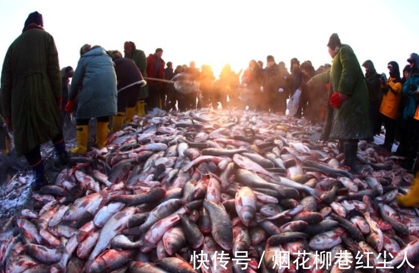 查干湖|当游客是傻子？查干湖野生鱼哪有这么多，价格还是外面的四五倍！