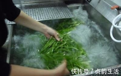 用这2种“肥水”养花，比淘米水食醋水靠谱的多，养啥花都“旺”