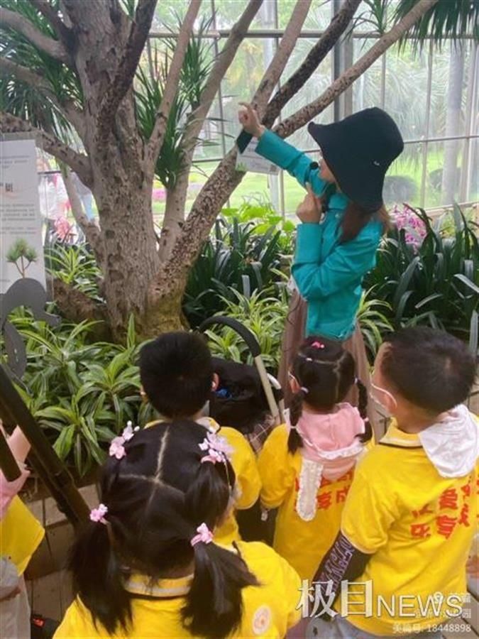 幼儿园娃娃和植物作伴，请保安、保洁员、导游当“老师”