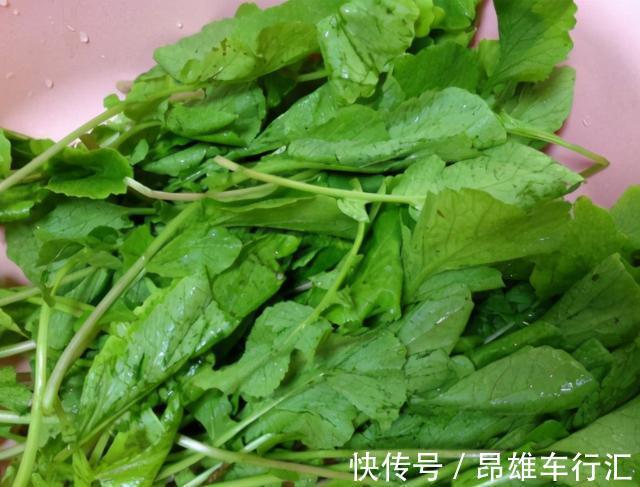 叶子|冬天,用萝卜缨炒鸡蛋,比蒜苔还要香,却很少有人吃,不懂太可惜