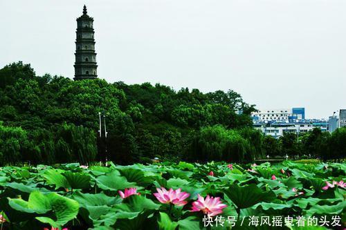 牯牛降|景点比城市更出名，中国五大生态之城之一，去了一次还想去第二次