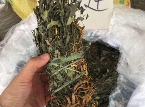 根茎|一种野草它根部含有“黄金”，若遇见请保护好，目前能卖千元一斤