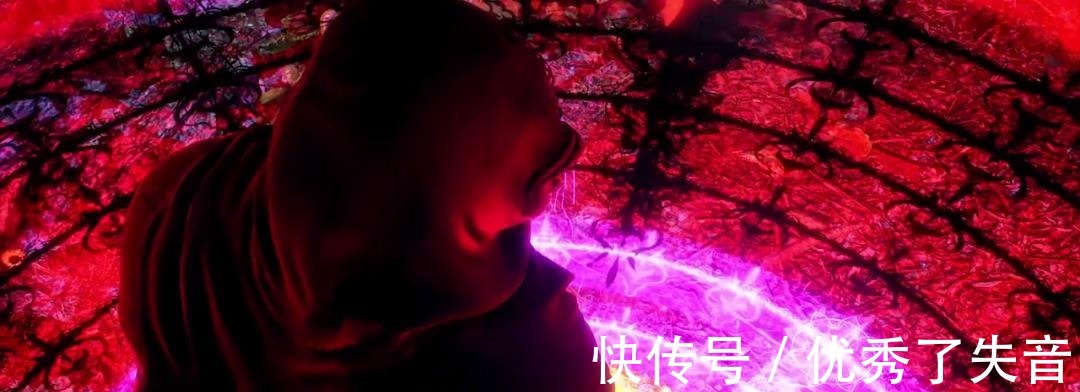 斗罗大陆|斗罗大陆赵无极的魂环也是绝妙搭配，弥补他的缺陷，扬长补短