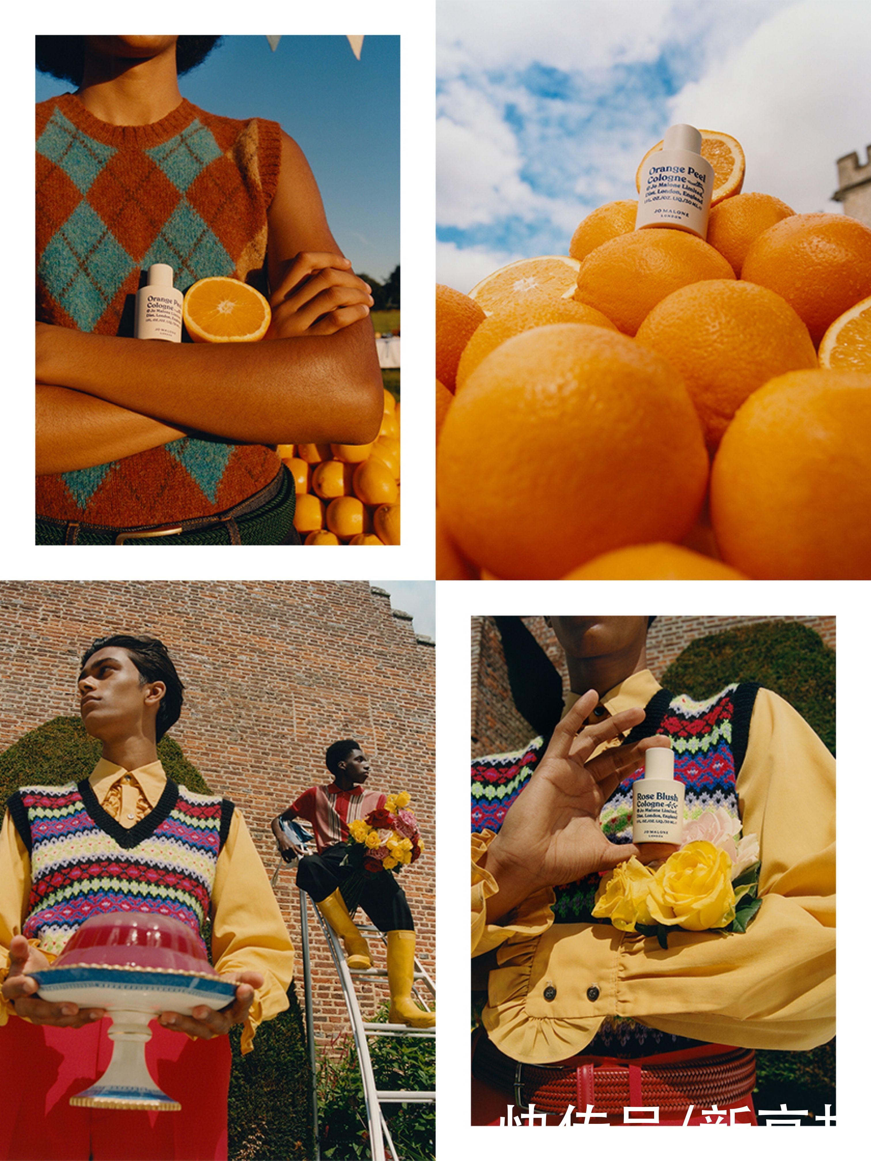 rose|摩登日记｜给“贪心”香味的你，一次打包带走的机会