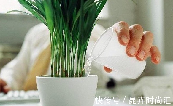 施肥|喜欢养花,先戒掉7个坏习惯,不然啥花也养不好,你占了几个?