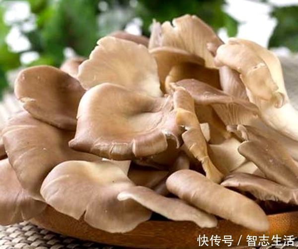 蔬菜|宁愿不吃也别碰以下4种“蔬菜”，寄生虫“成堆”，喜欢也要少吃