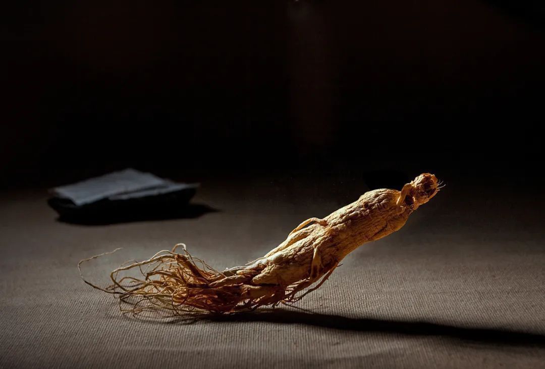 延年益寿|真的有补气养血、延年益寿的中药吗?这4类中药不妨了解一下