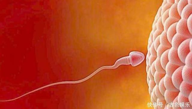 白带增多|别再为了怀孕计算排卵期了,看身体反应,出现三个说明排卵期来了