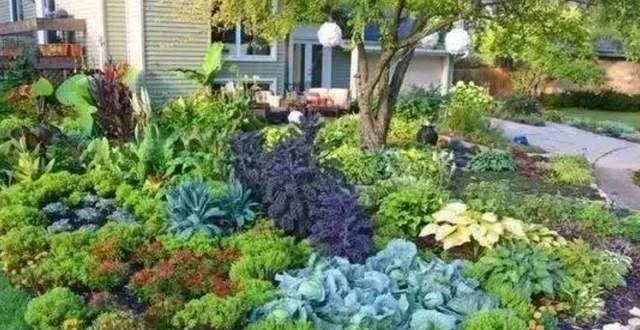 养花高手不买一楼房子，庭院生活，一个阳台就能实现，羡慕