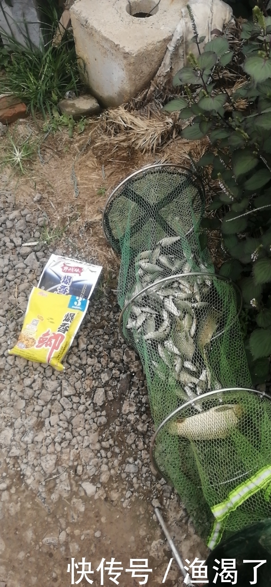 新手|钓鱼有哪些技巧是高手知道而新手不知道的?