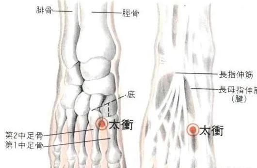  牢记全身疾病特效穴，专穴专用！