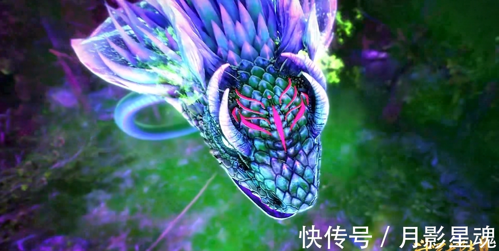 美杜莎女王|盘点斗罗大陆中出现的十条蛇,九节翡翠倒数,谁才是第一?