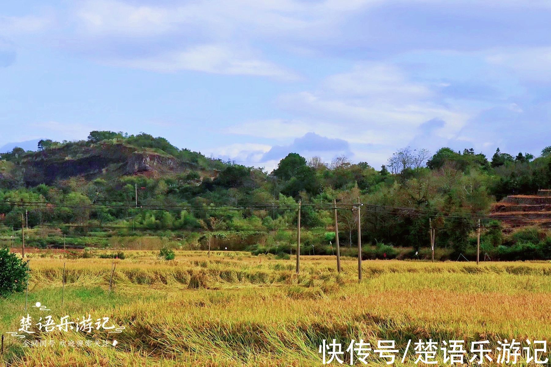 浙江这个古村被田野包裹，饱含田园风情，百亩梯田成为独特风景