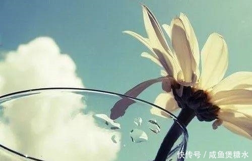 寡,是一个人最智慧的活法