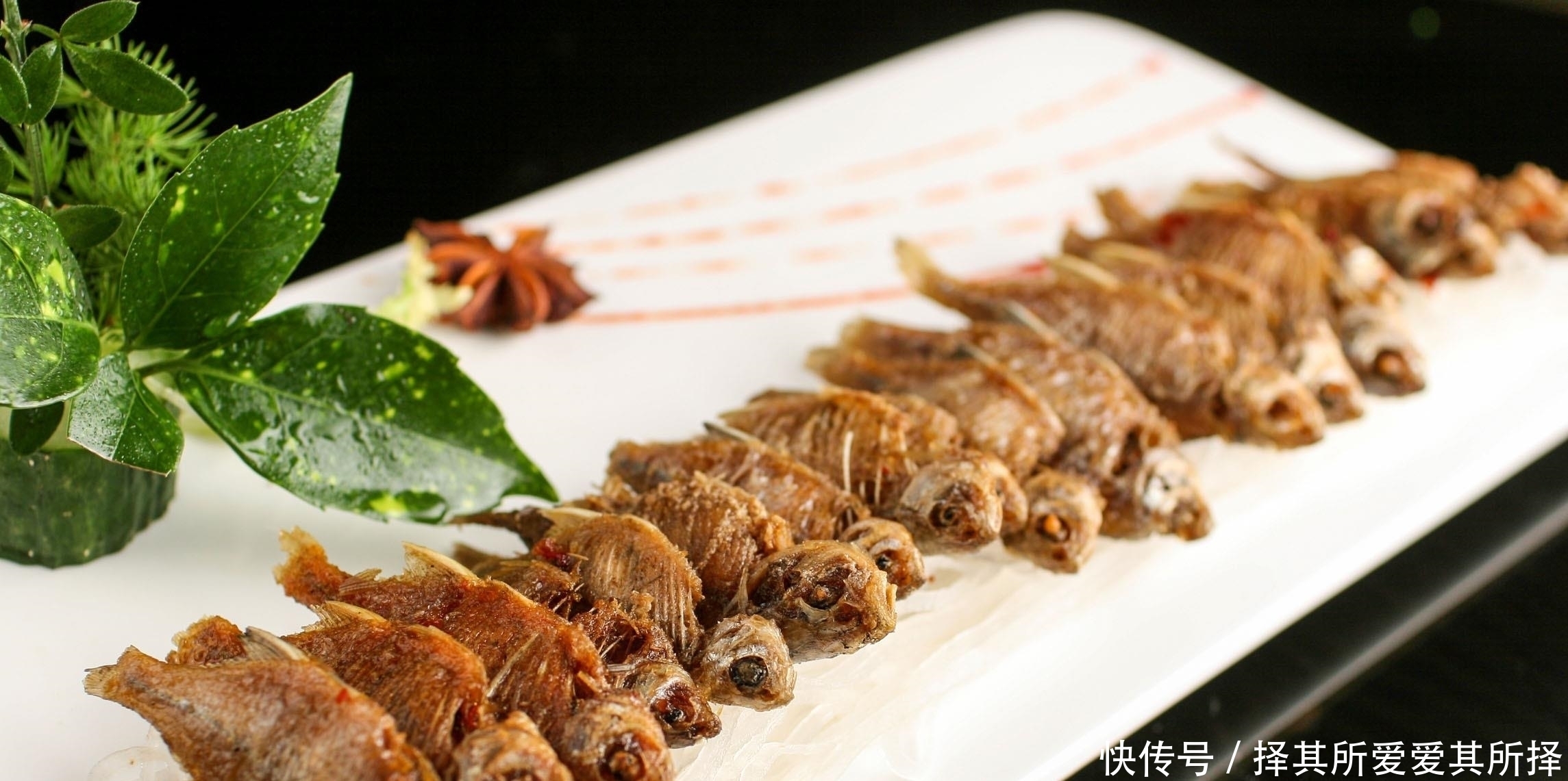 价值|5年都长不到3厘米,常被误认为是小杂鱼,殊不知价值珍贵少有人知