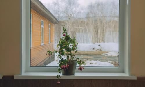 不用羡慕乡村景色了，楼房养花一样能养眼、修身养性