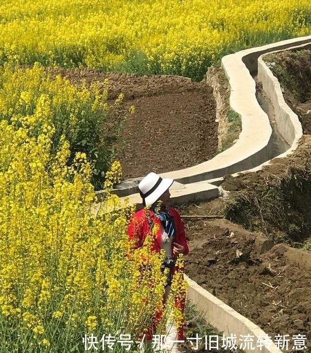 高清美图带你看，2021年汉中最美的油菜花海