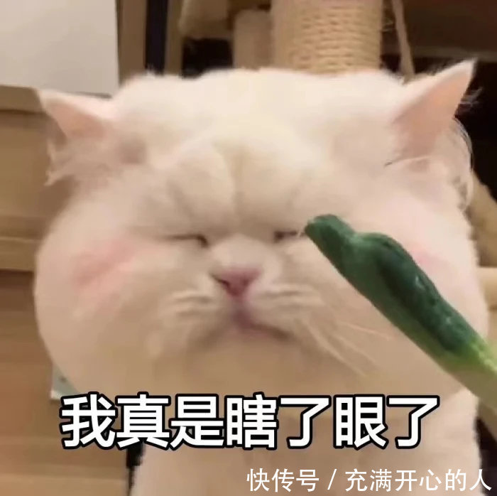 |搞笑表情包来啦