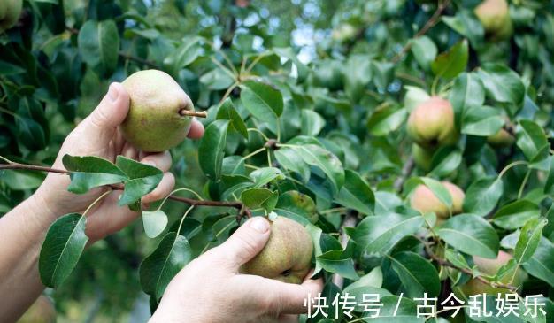 柚子|立秋了，记得吃这5菜4果，去秋燥，营养丰富，让你平安度过秋天