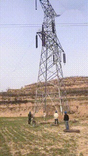 |搞笑GIF:本来我也想吃一口 但是碍于面子没张口