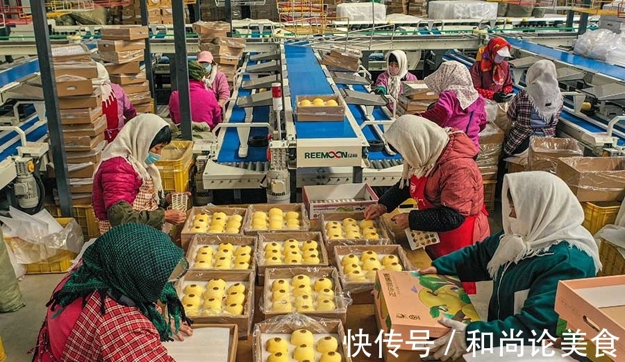 果农们|新鲜苹果成电商市场热宠