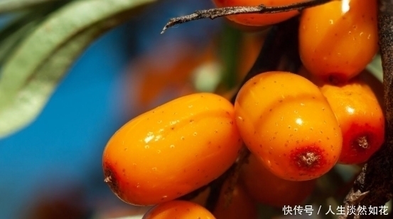 高血脂|“它”比肥肉胆固醇高23倍,很多人爱吃,提醒高血脂家人尽量少吃